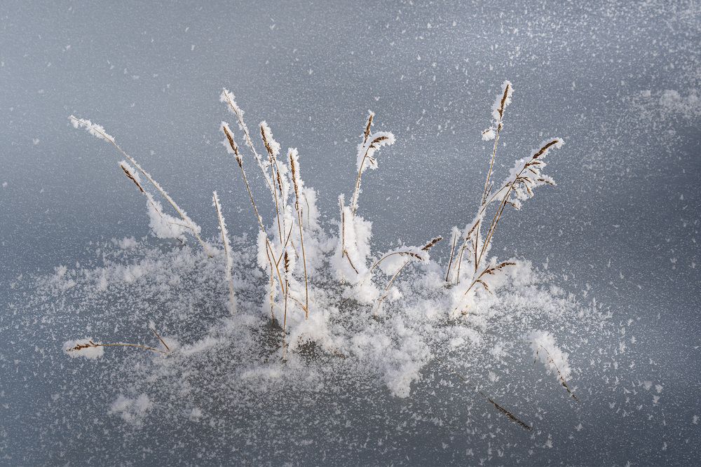 Photograph by Светлана Гореликова