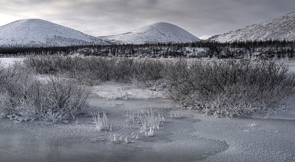 Photograph by Светлана Гореликова