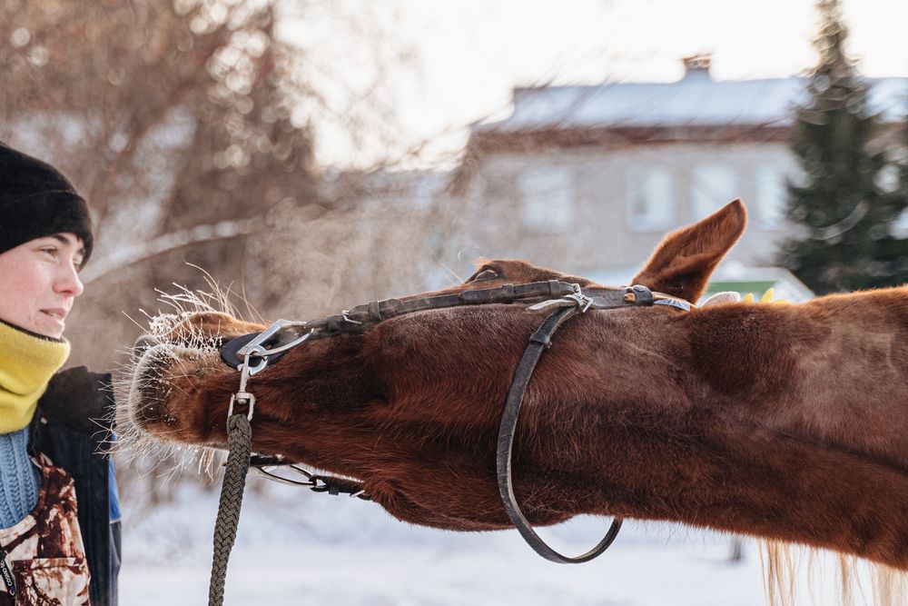 Photograph by Ирина Рыжова