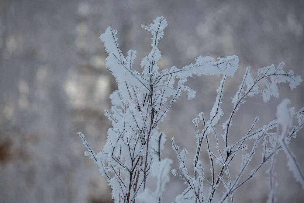 Photograph by Евгений Авдеев