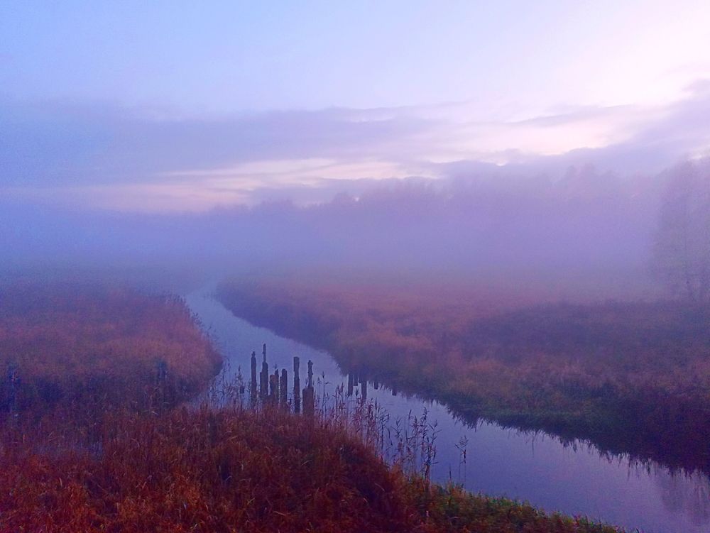 Photograph by Nikolas