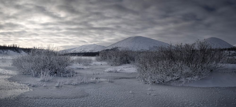 Photograph by Светлана Гореликова