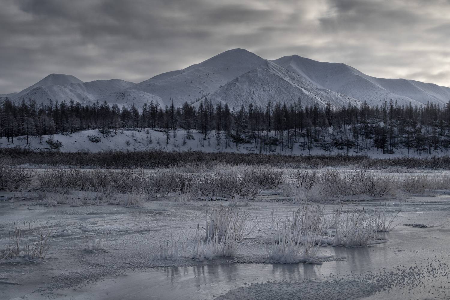 Фотография #13006265