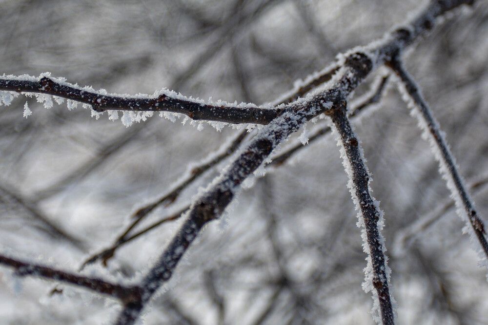 Photograph by Евгений Авдеев