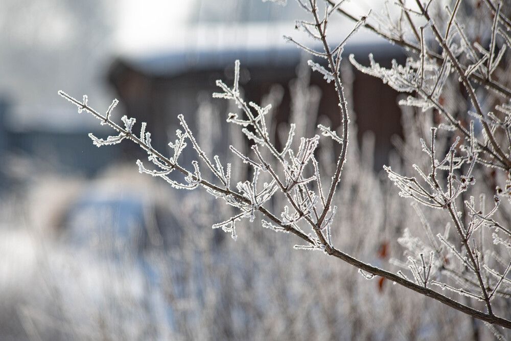 Photograph by Евгений Авдеев