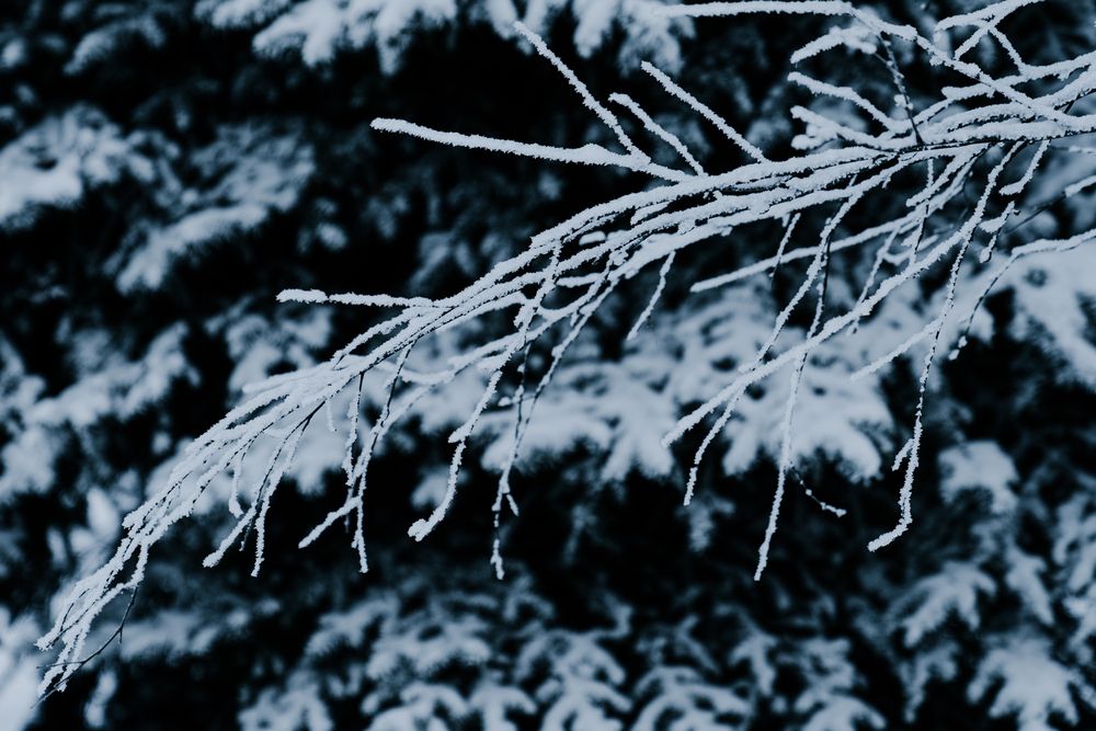 Photograph by Андрей Вешняков