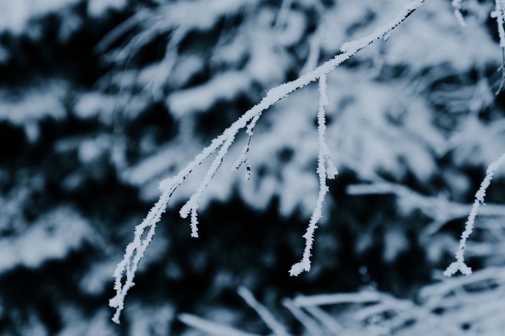 Photograph by Андрей Вешняков