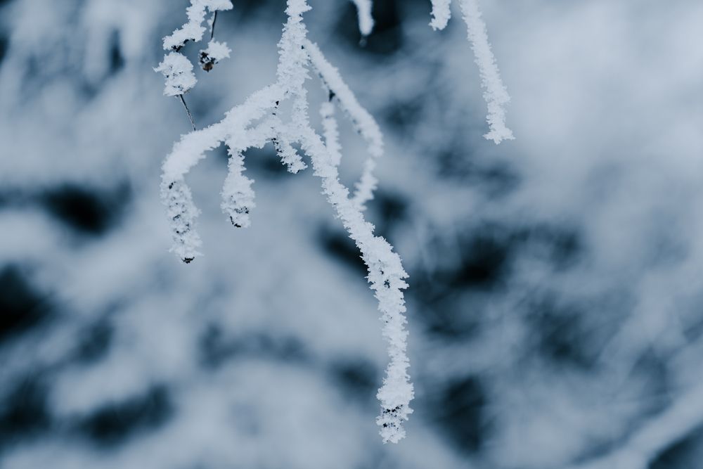 Photograph by Андрей Вешняков