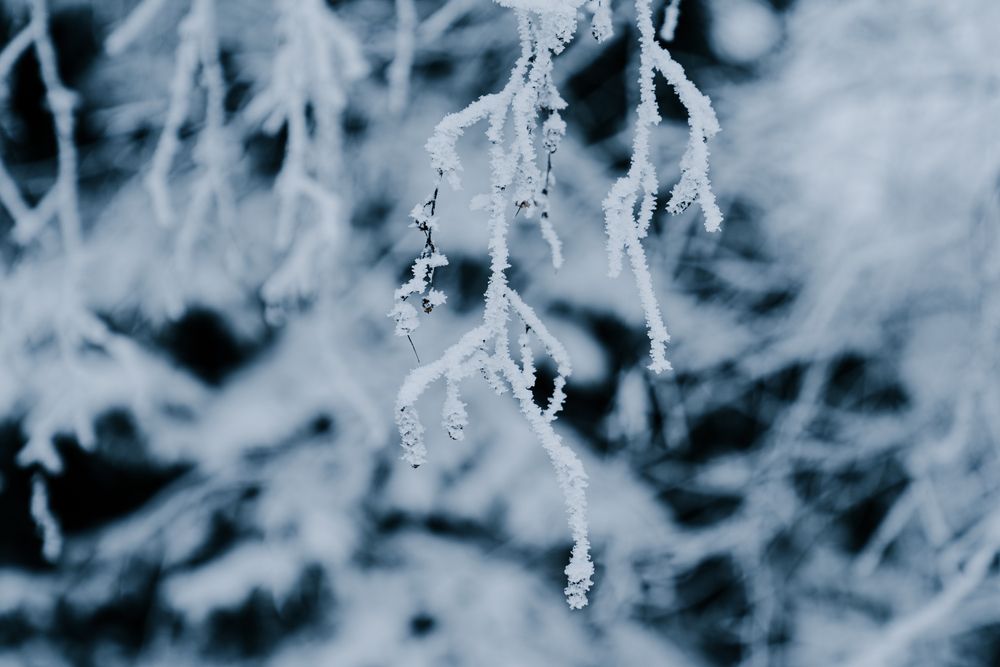 Photograph by Андрей Вешняков