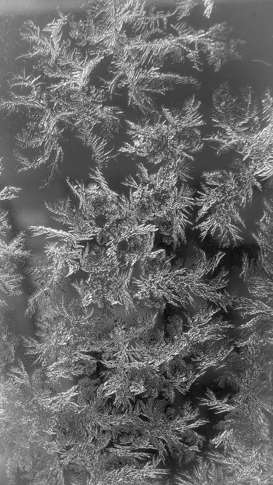 Photograph by Iryna Usanova