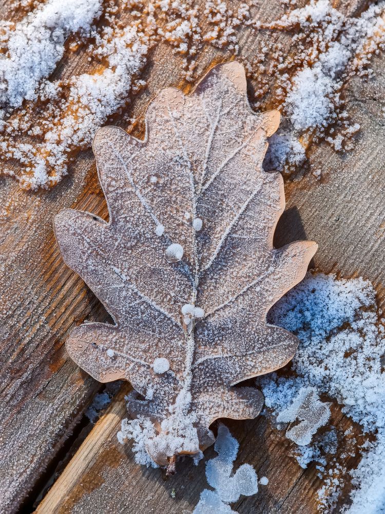 Фотография автора Владимир Ли