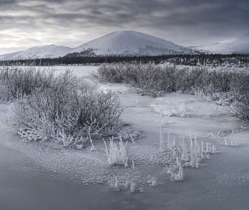 Photograph by Светлана Гореликова