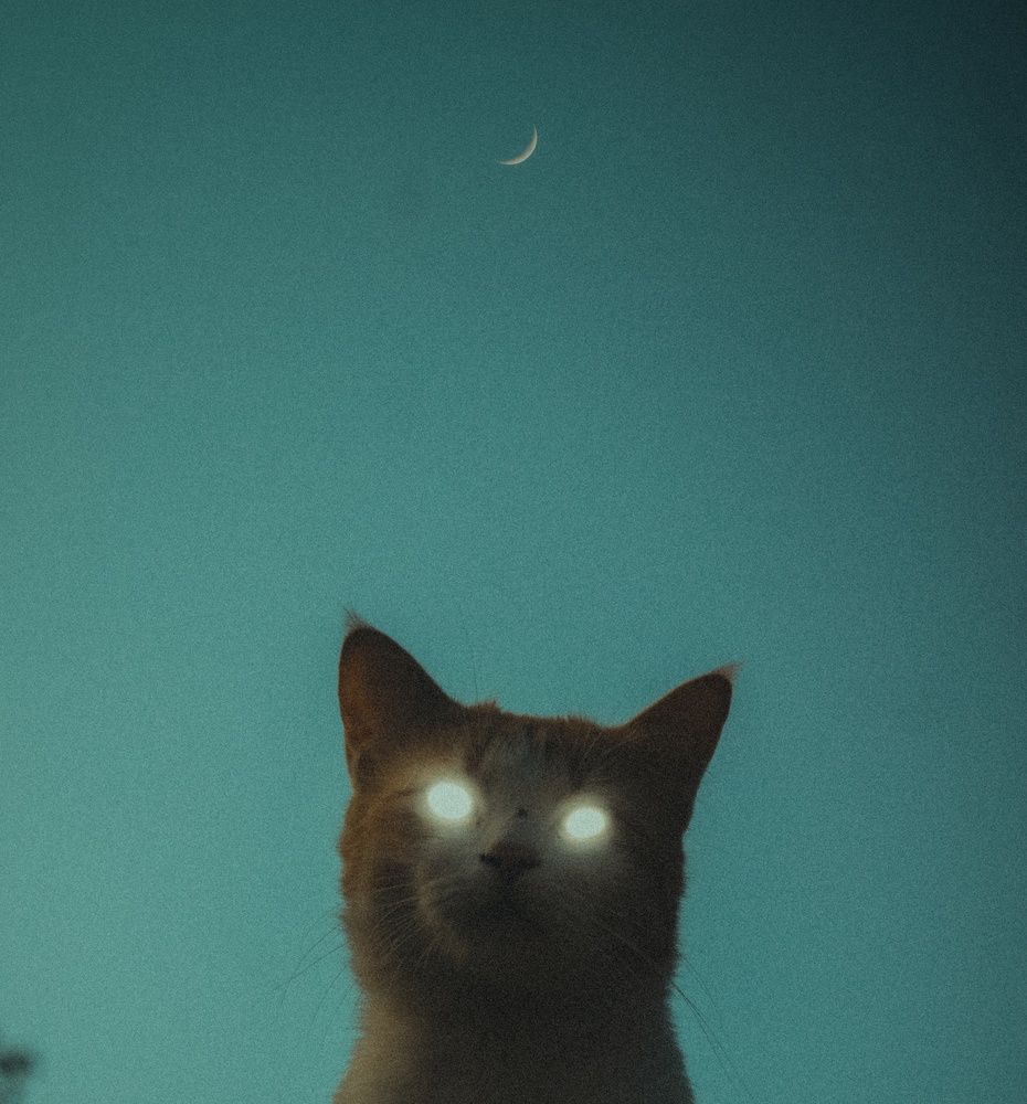 Photograph by riaz ali