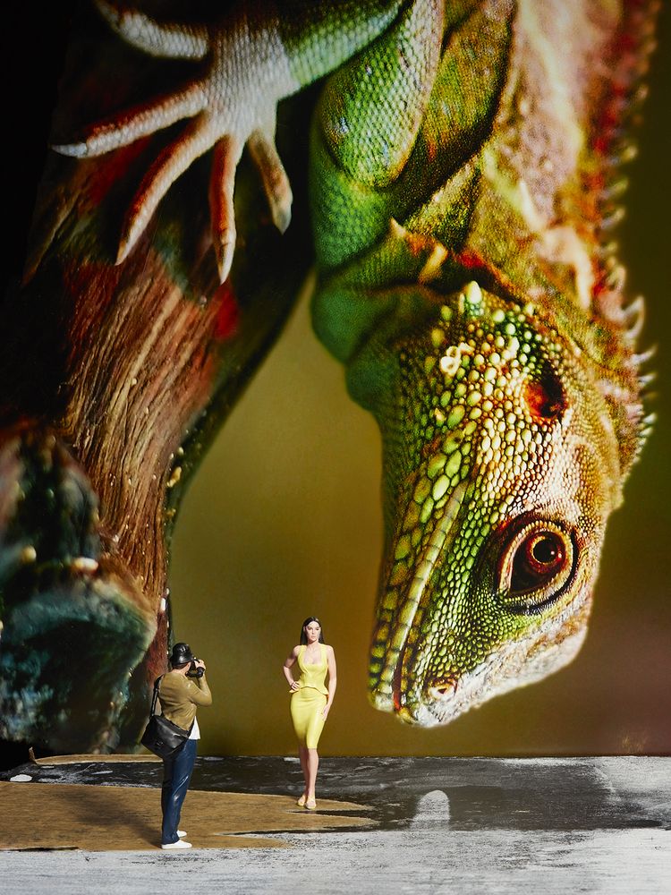 Скрытая сущность (The Hidden Entry)