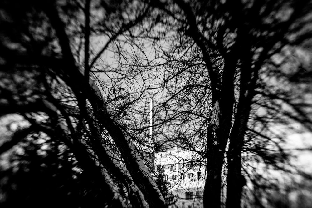 Photograph by Михаил Дронов