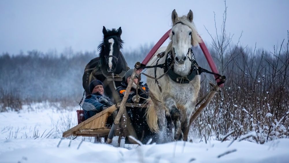 Фотография автора Хабаров Сергей