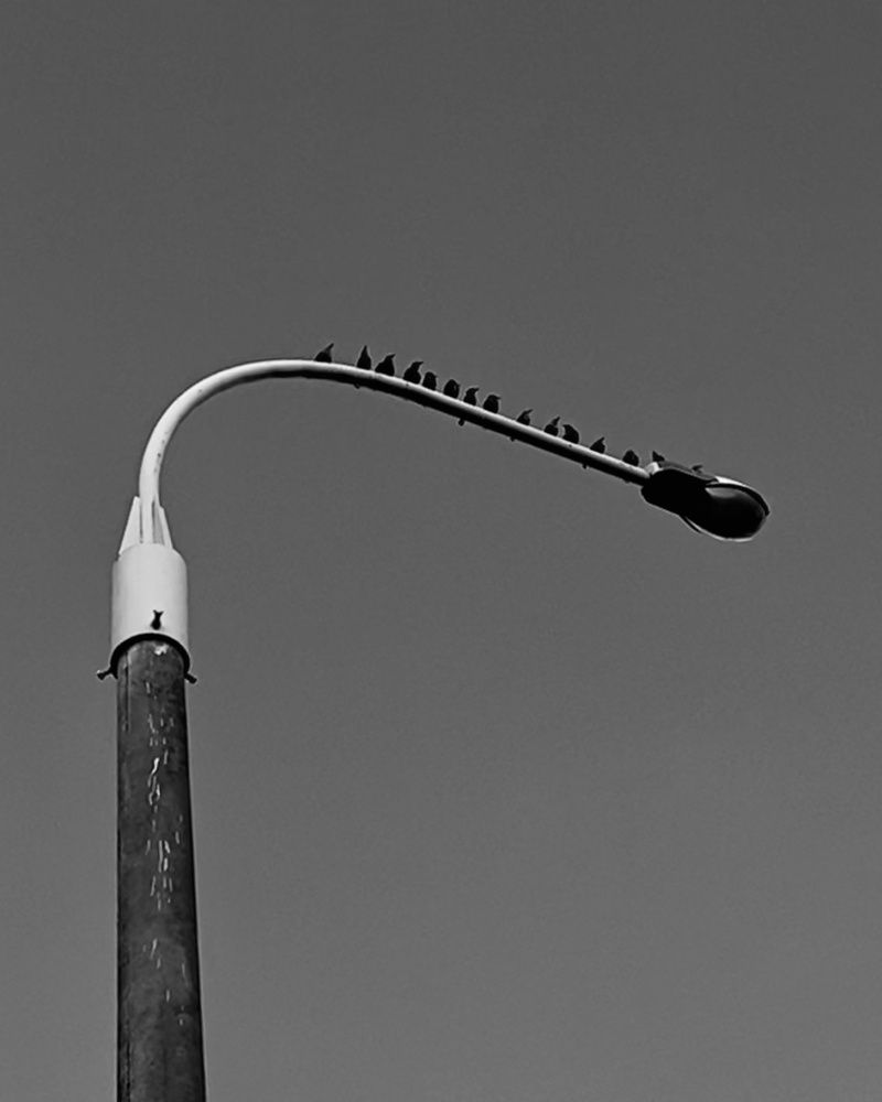 Photograph by Светлана Станевич