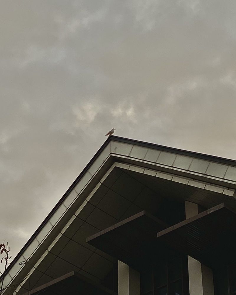 Photograph by Светлана Станевич