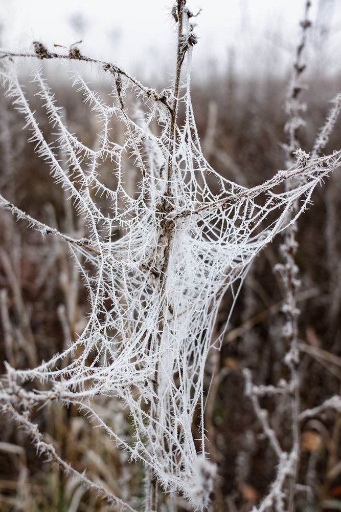 Photograph by Сергей Конюшенко