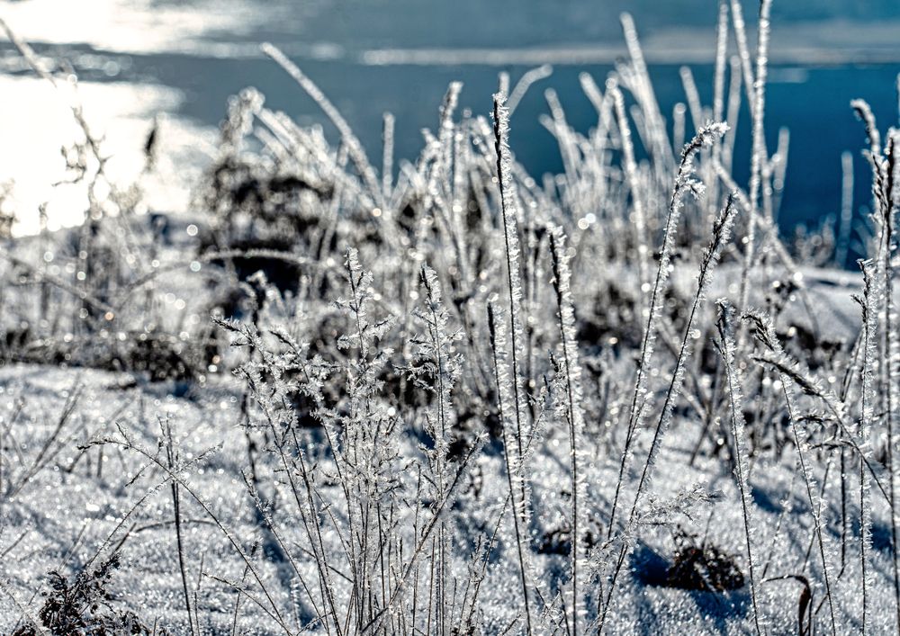 Photograph by Саргылана Прокопьева