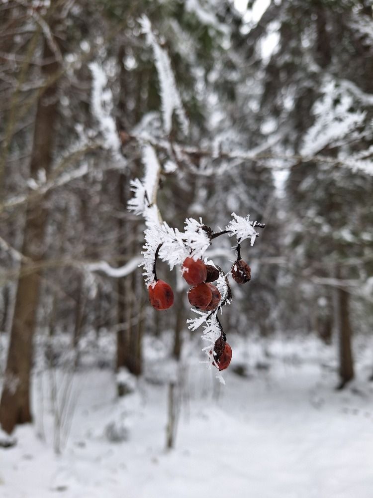 Photograph by Ольга Мольдон