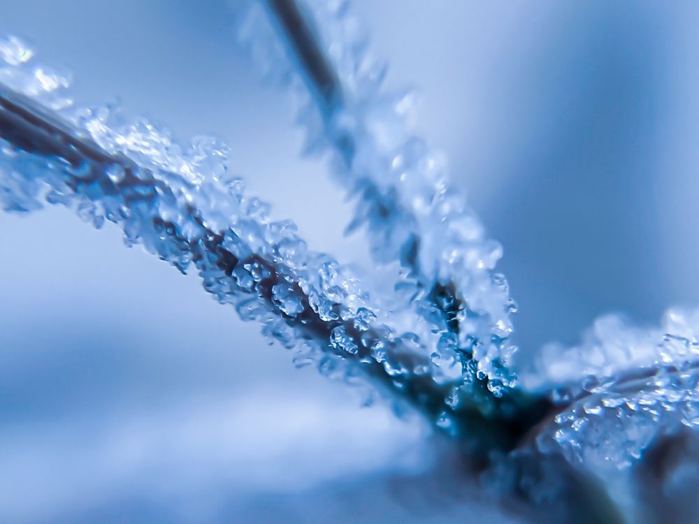 Photograph by Saliha Jan