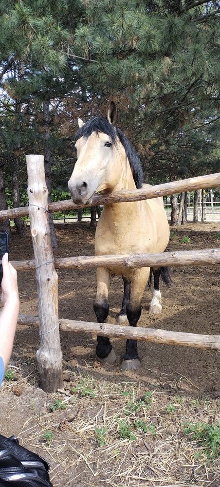 Photograph by Дарина Макарова