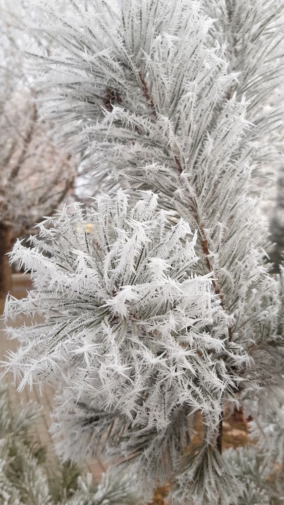 Фотография автора Margarita Teterkina