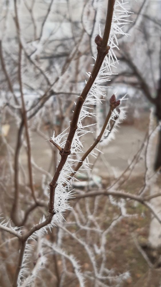 Фотография автора Margarita Teterkina