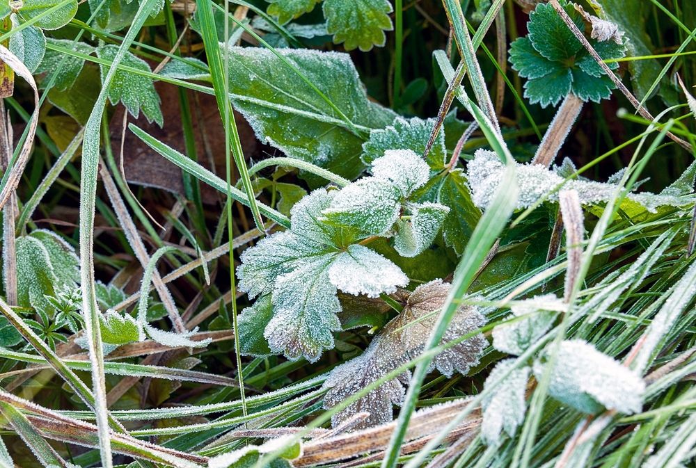 Photograph by  Валерий