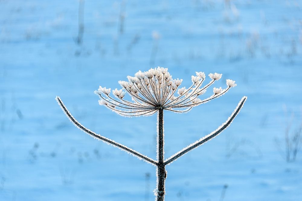 Photograph by  Валерий