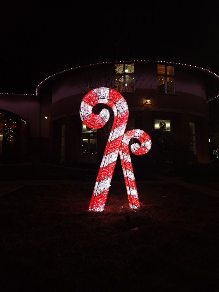 Photograph by Elena Shliachkova