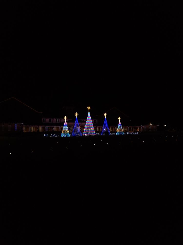 Photograph by Elena Shliachkova