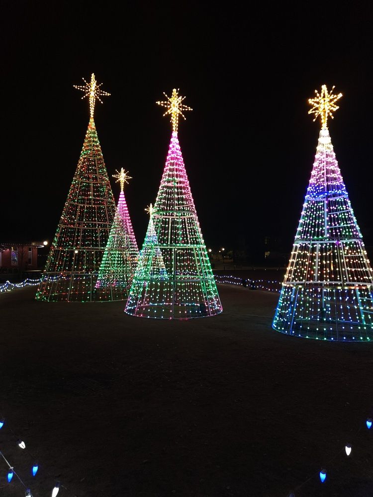 Photograph by Elena Shliachkova