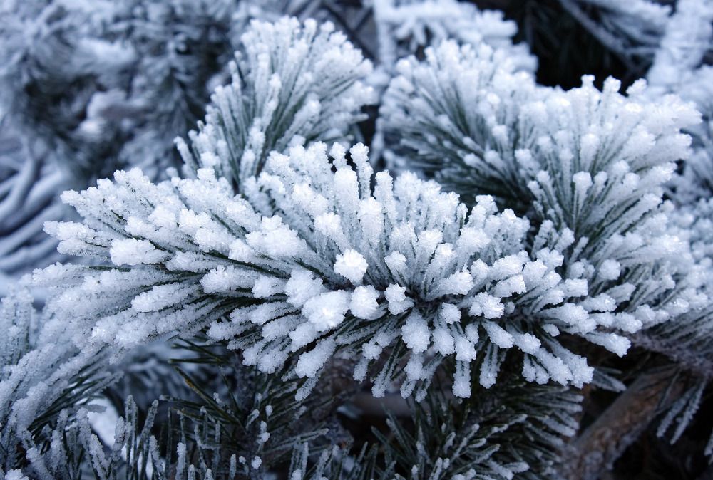 Photograph by Марина