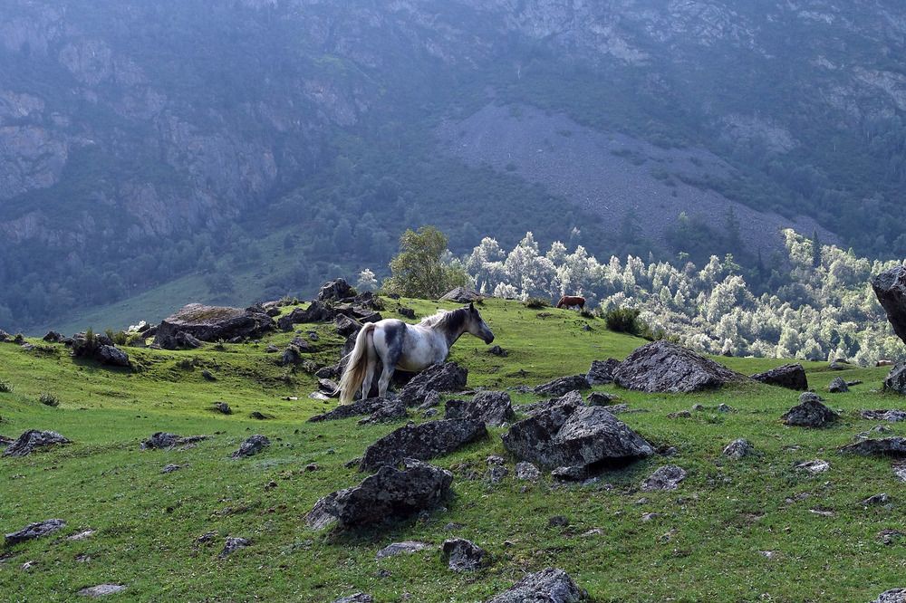 Photograph by Марина