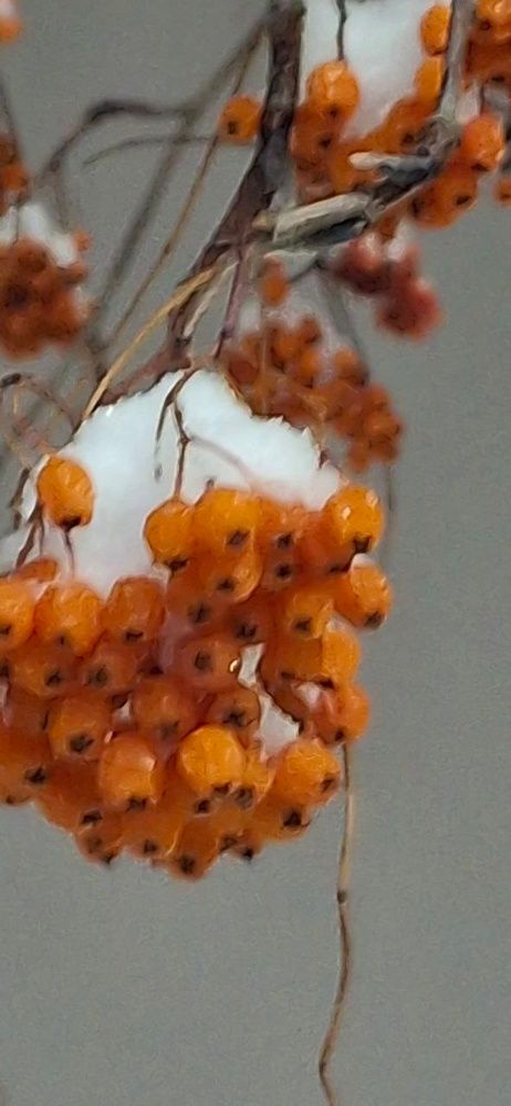 Photograph by Елена Мусина