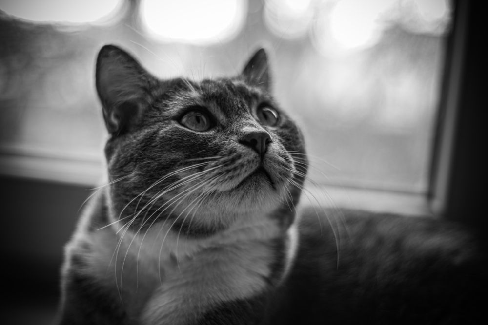 Photograph by Алина Kozenseva