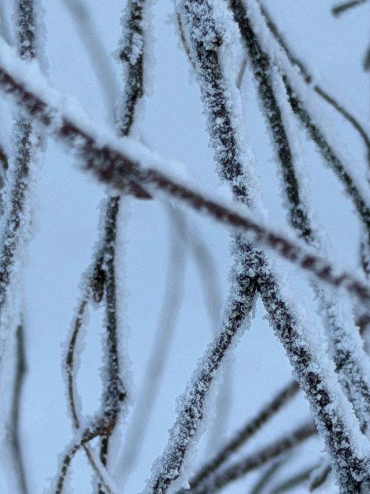 Photograph by Елена Мусина