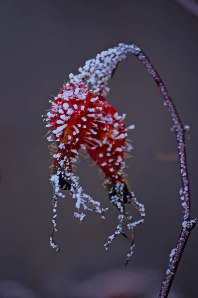 Photograph by Марина Мишутина