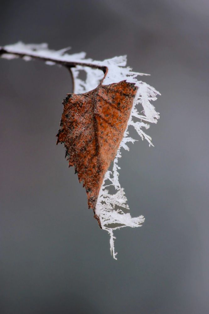 Photograph by Марина Мишутина