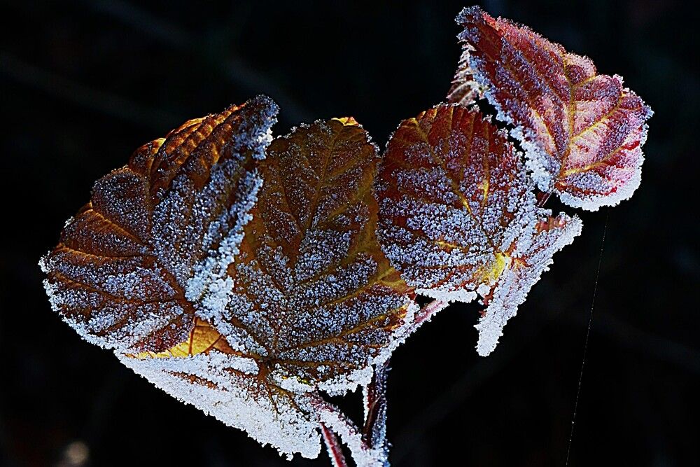 Photograph by Марина А-Б