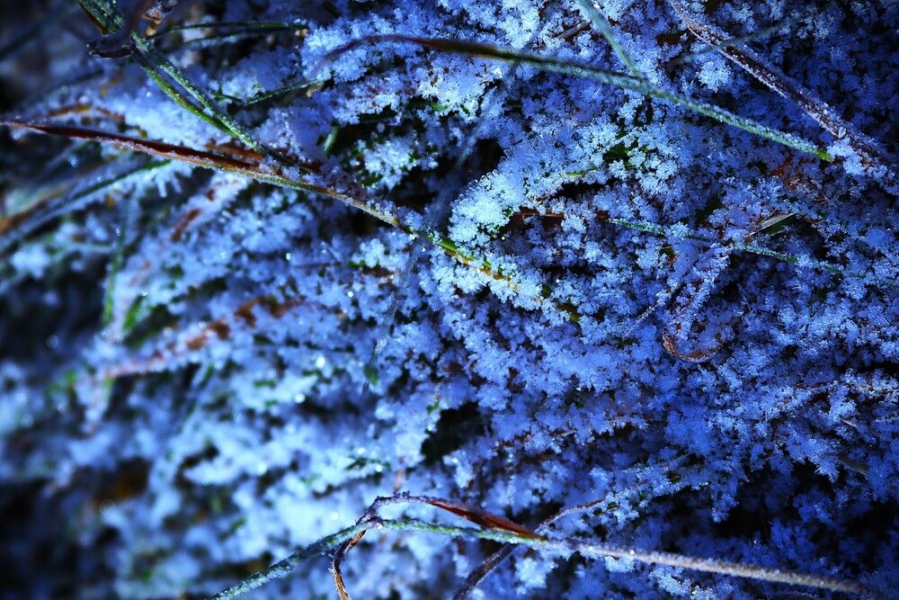 Синий, синий иней