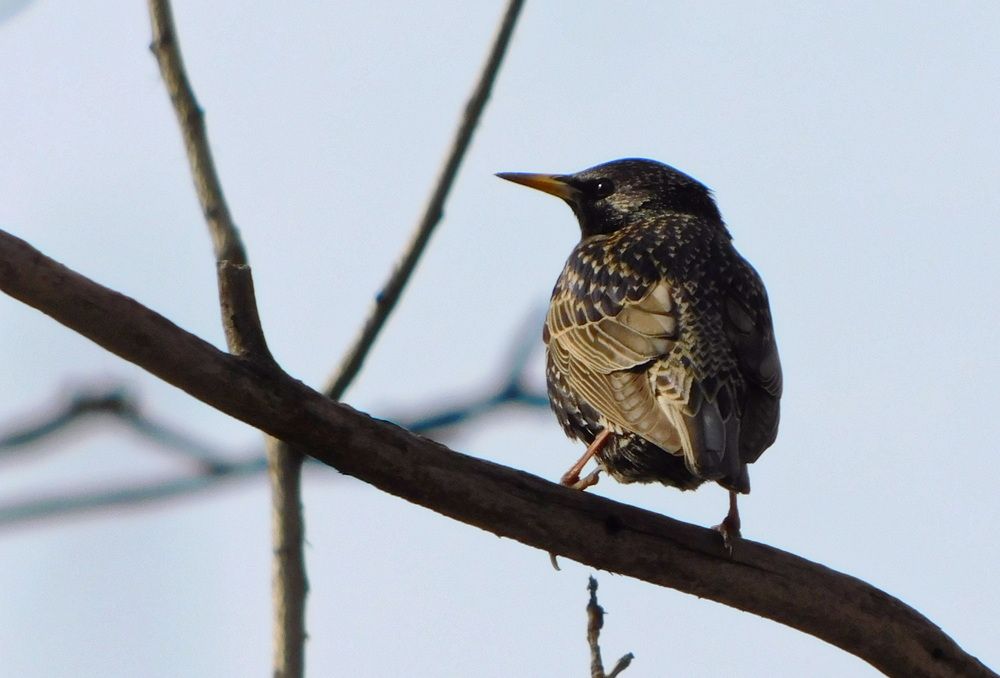 Photograph by Сергей Чеченов