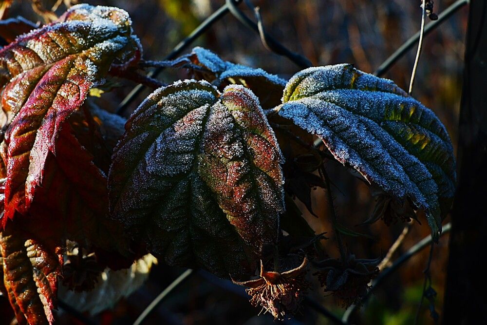 Photograph by Марина А-Б