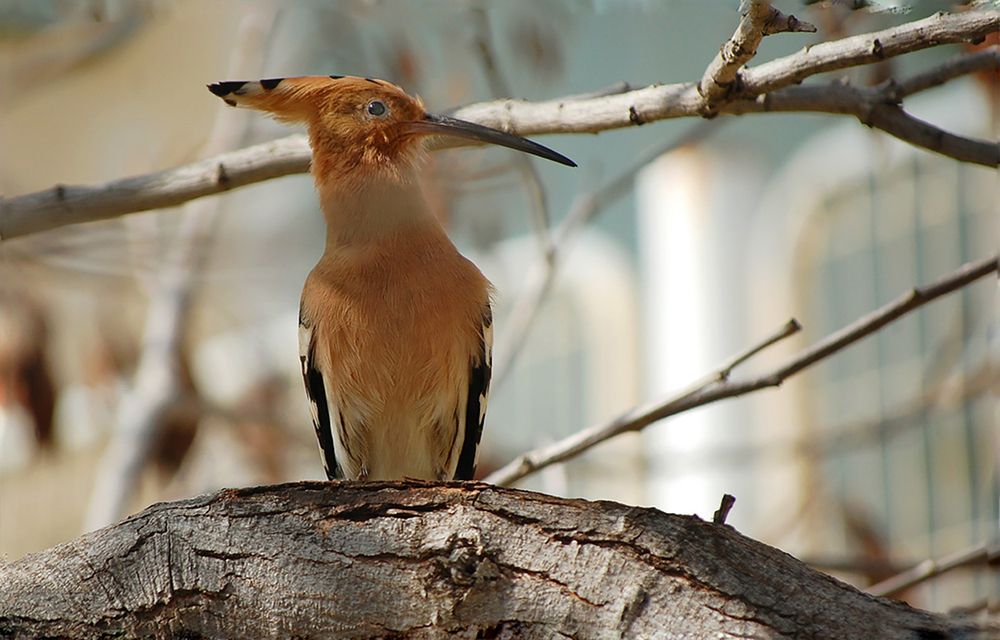 Photograph by yakov vayman