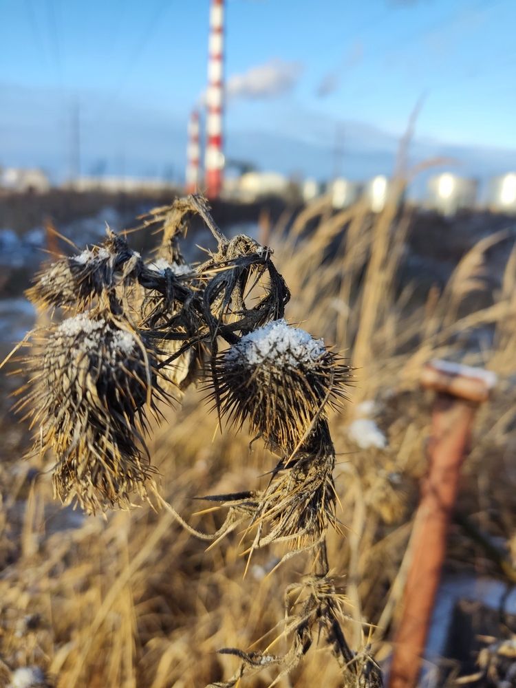 Фотография автора Catherine Shashkova
