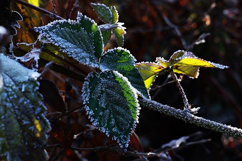 Photograph by Марина А-Б