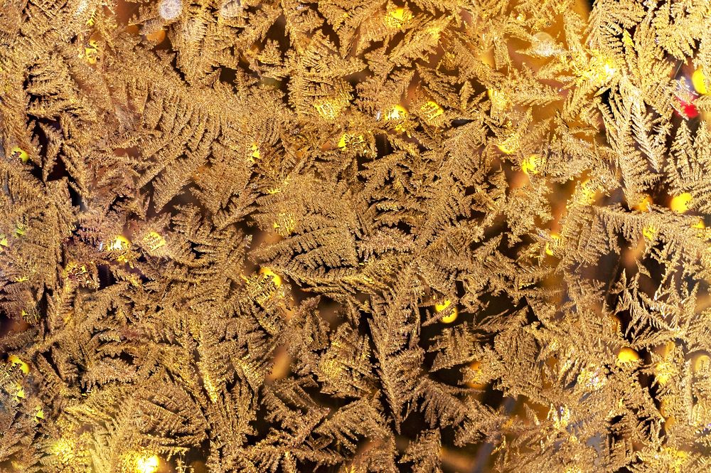 Photograph by Елена Гоосен