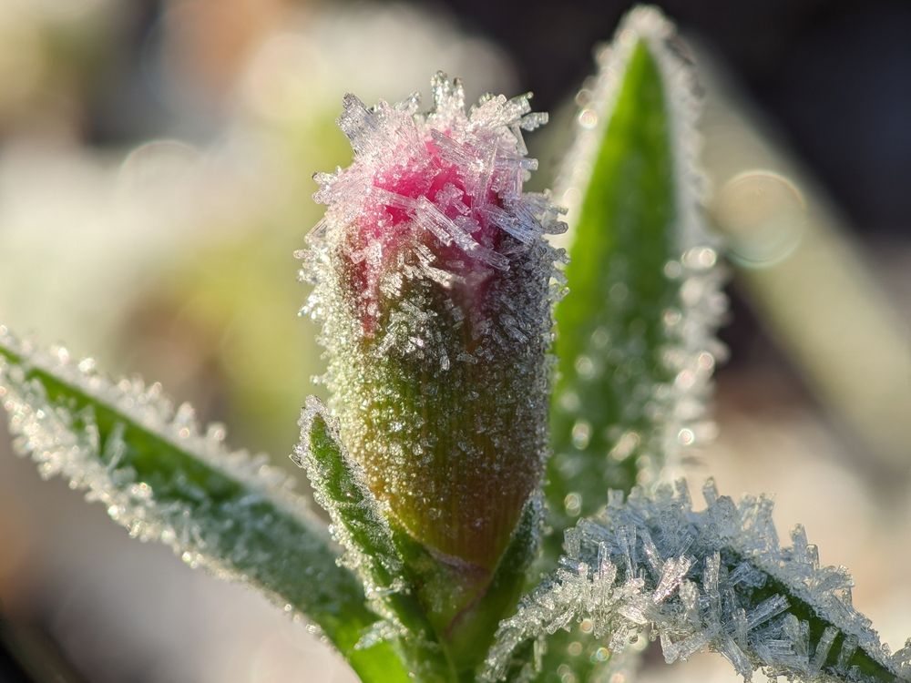 Photograph by Alexandr Gorelenkov